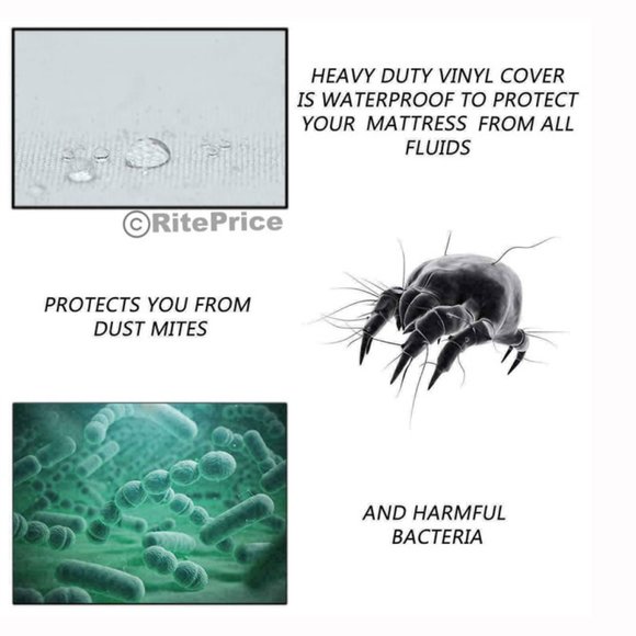 Vinyl Mattress Protector-Waterproof & Dust Mite Proof Durable Cover- Queen Size - Picture 4 of 11